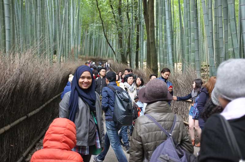 arashiyama bamboo forest