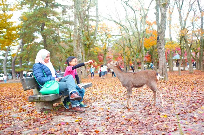 Trip ke Nara park