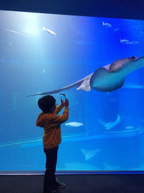 Osaka Aquarim dan Nara Park