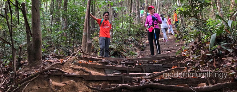 Bukit gasing