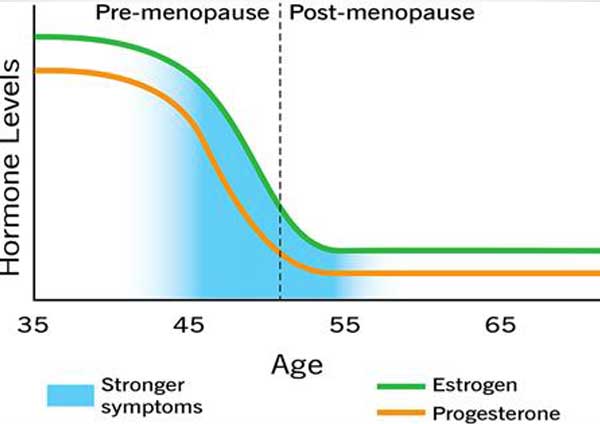 Simptom Menopaus
