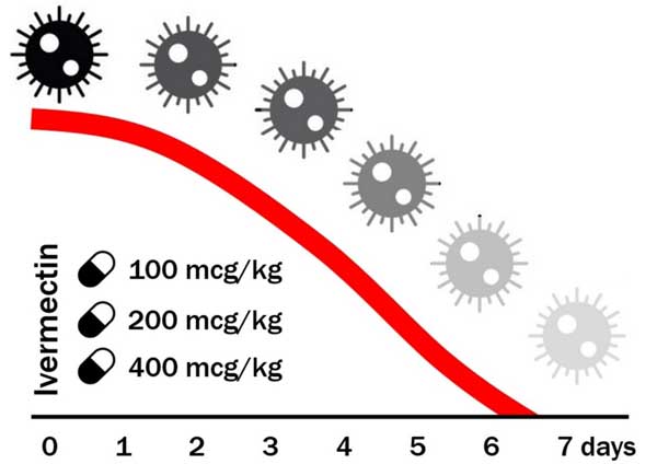 Ivermectin untuk rawatan Covid19