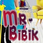 Sinopsis Mr.Bibik