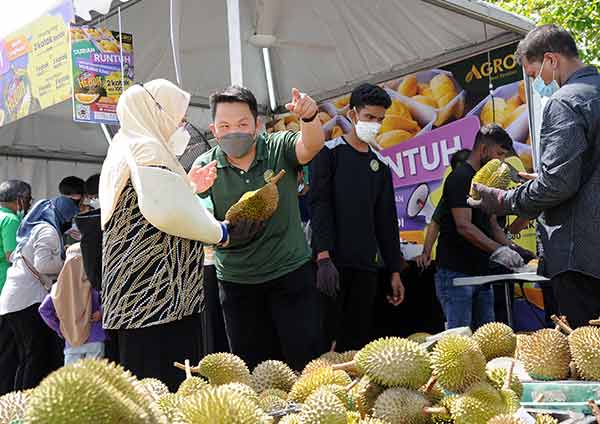 Festival makan durian