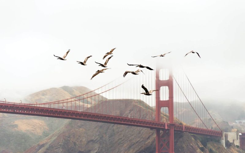 andrew ruiz dwwHrYRWcM unsplash