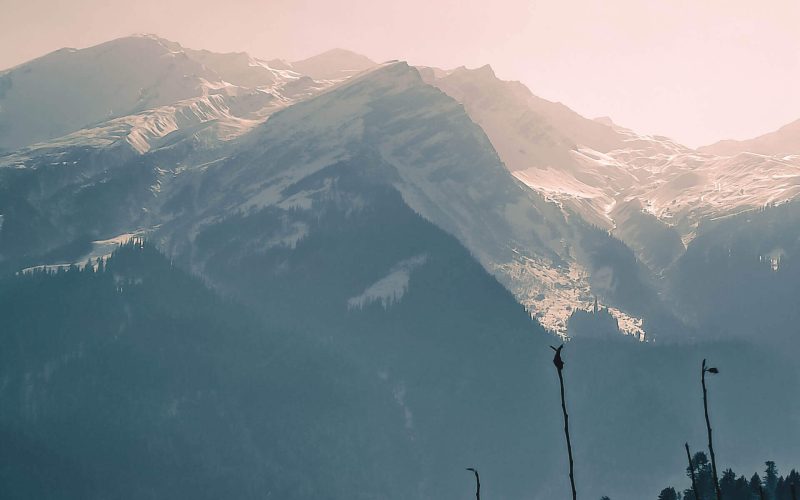 bhavya pareek HVB XhdWOWo unsplash